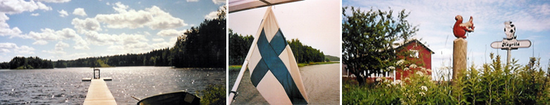 Zweeds op maat - Fins