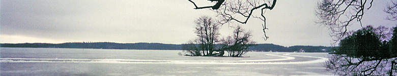 Zweeds op maat Links